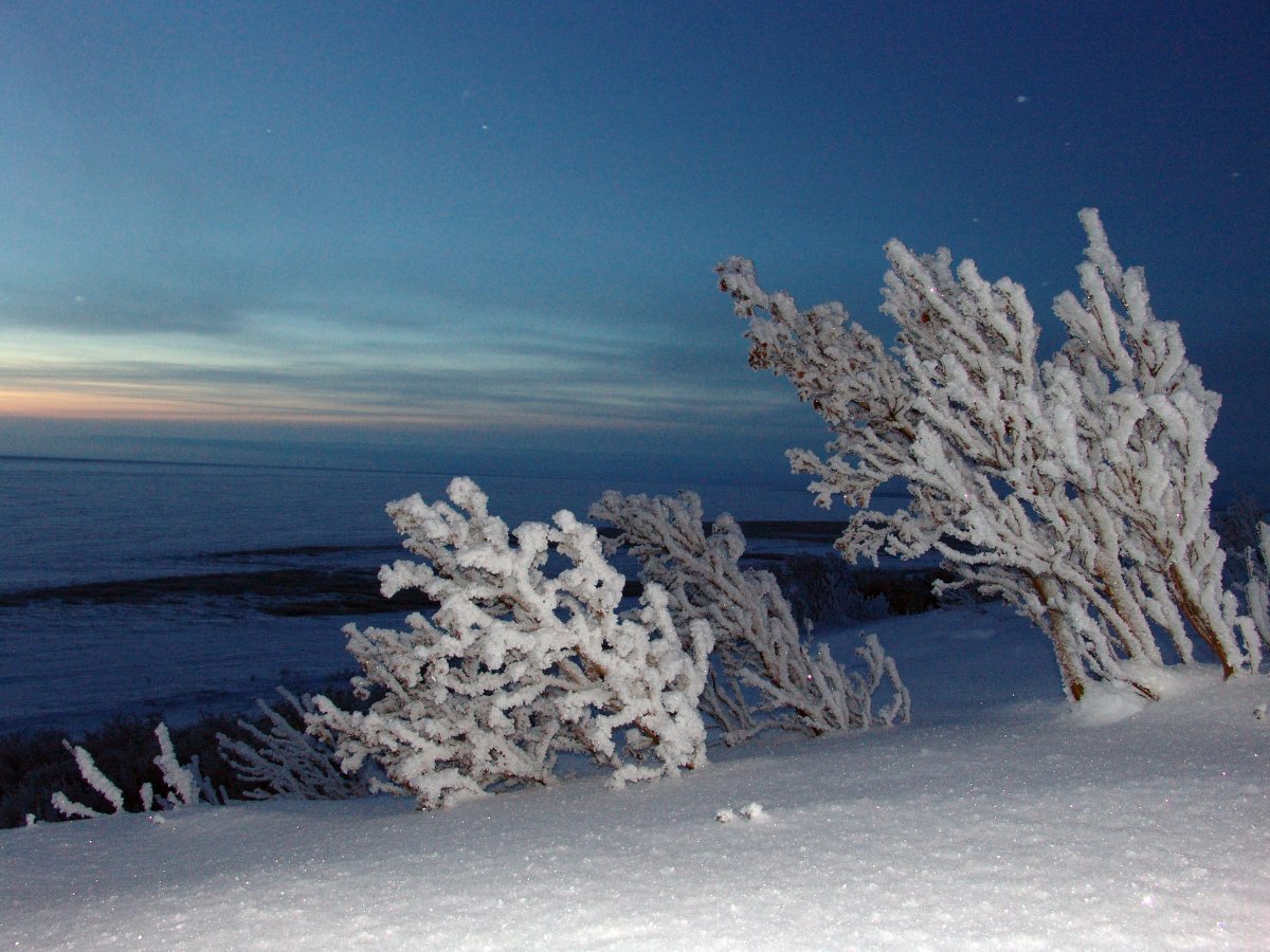 Природа Сибири Енисей зимой