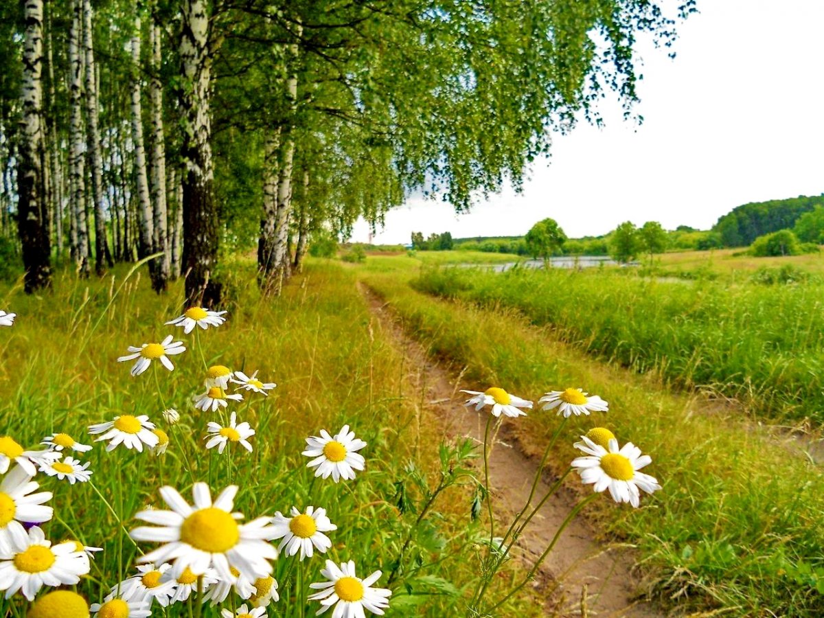 Июнь природа в России