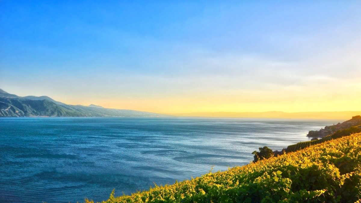 Лето море горы