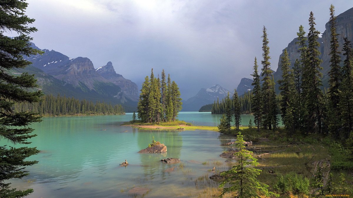 Озеро в лесу