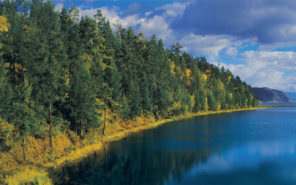 Восточно-Сибирская Тайга широкая река