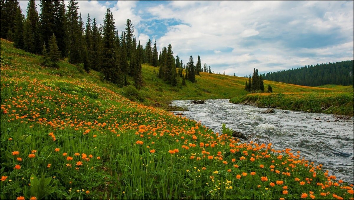 Река Оя Красноярский край