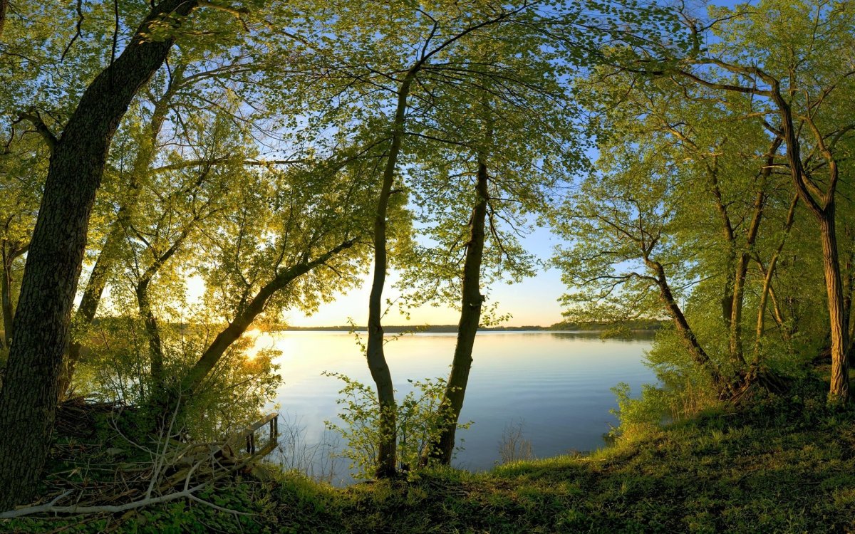 Зеленая роща Татарстан озеро