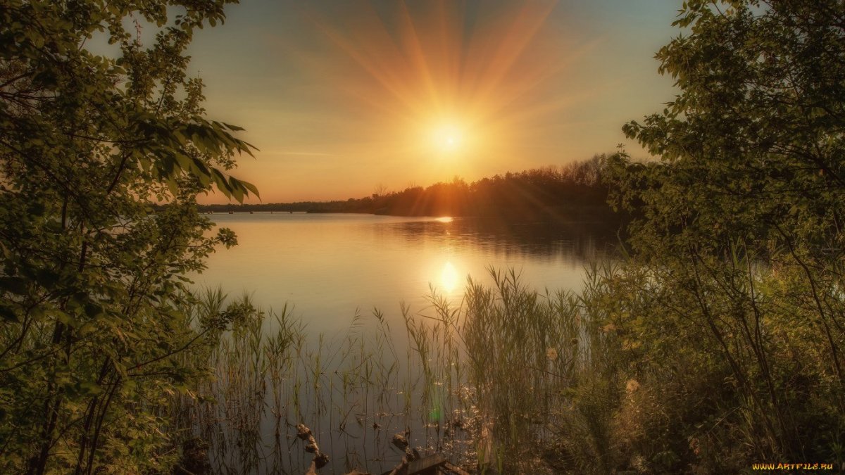 Закат лес река