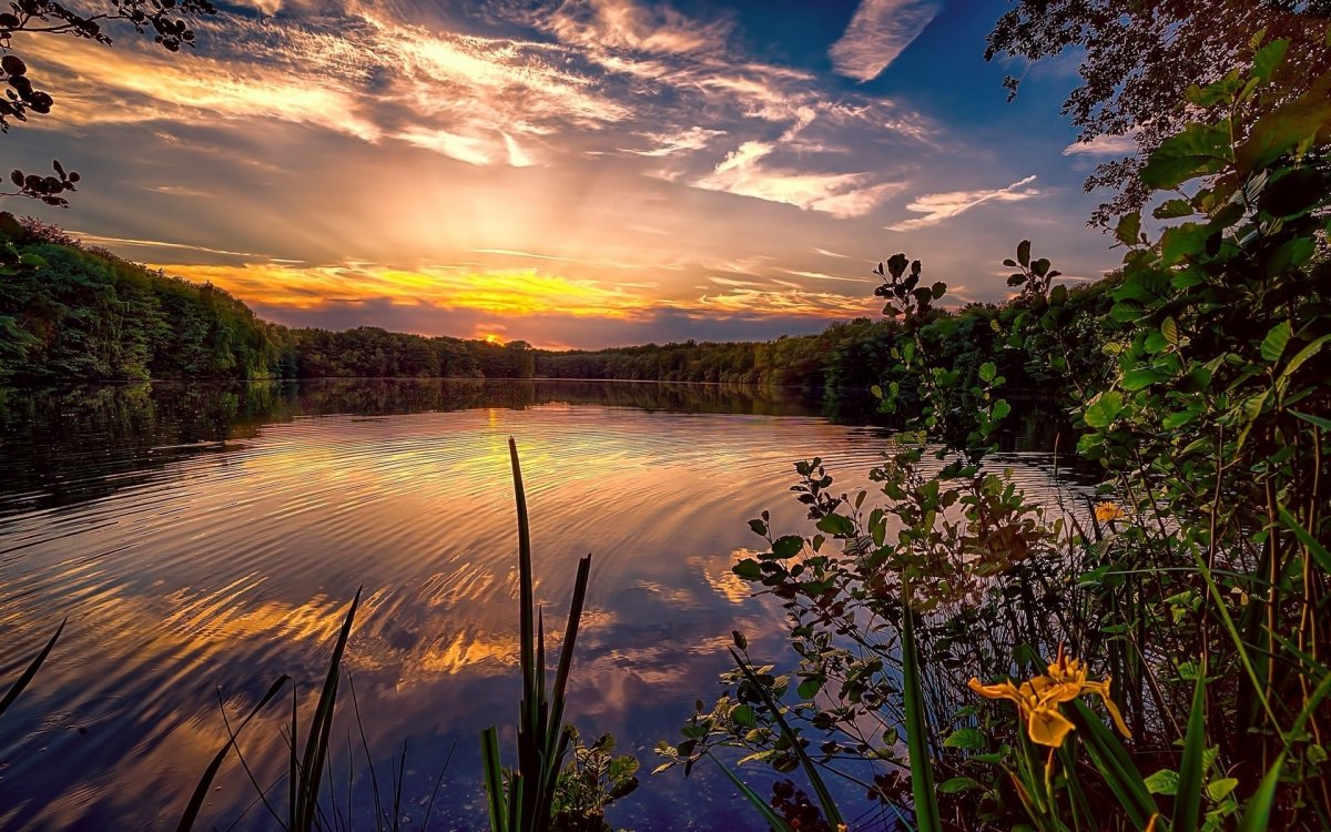 Красивая природа рассвет