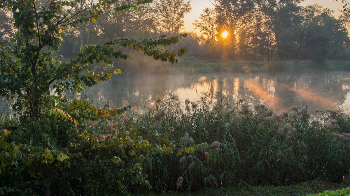 Рассвет после дождя
