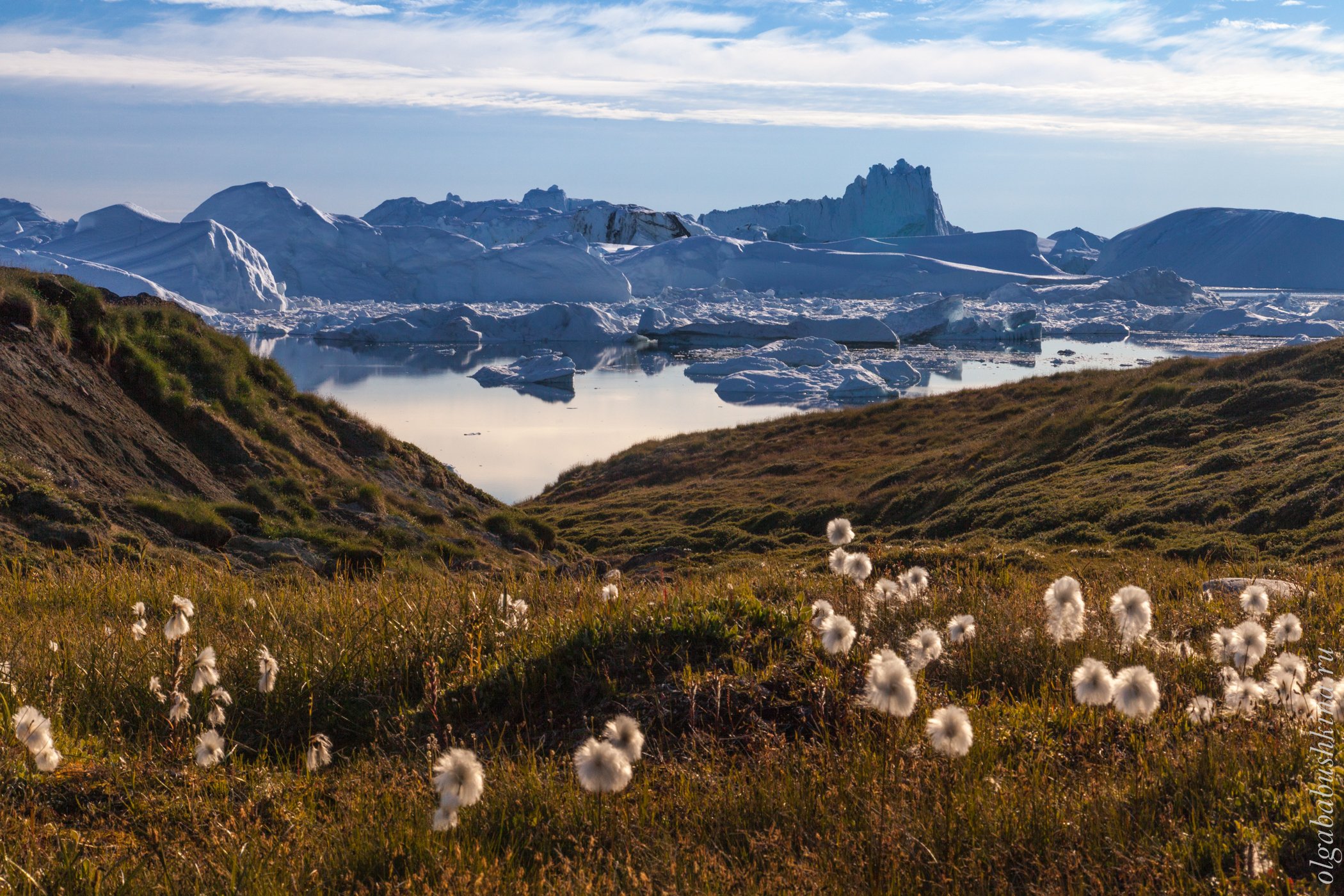 Гренландия горный. Гренландия (остров). Остров Гренландия растительность. Климатические пояса Гренландии. Мыс Моррис-Джесуп.