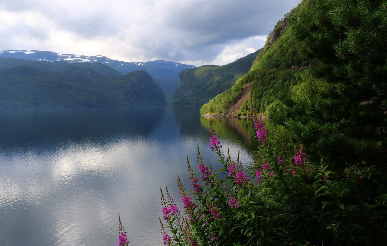 природа норвегии картинки