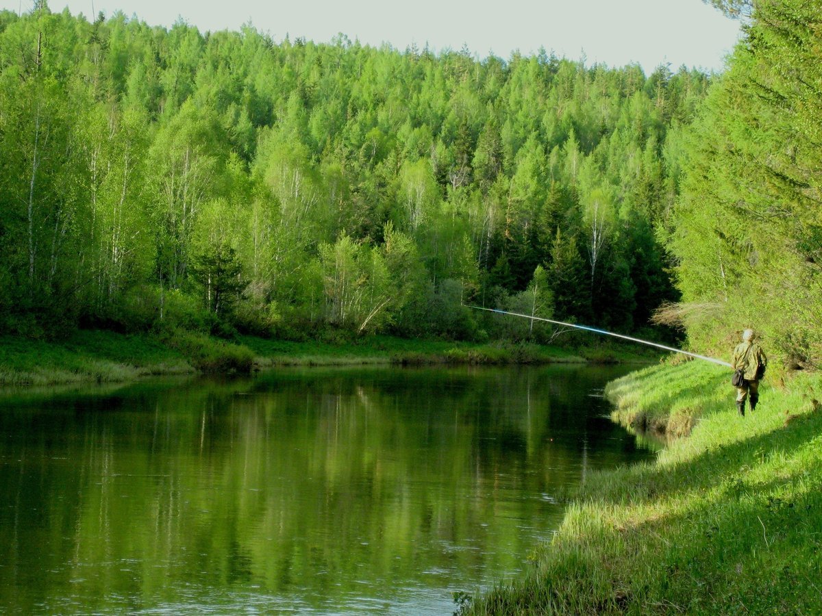 Рыбалка озеро летнее. Река Андога. Река Иреек Борисовский. Река Тигода. Река Аткус рыбалка.