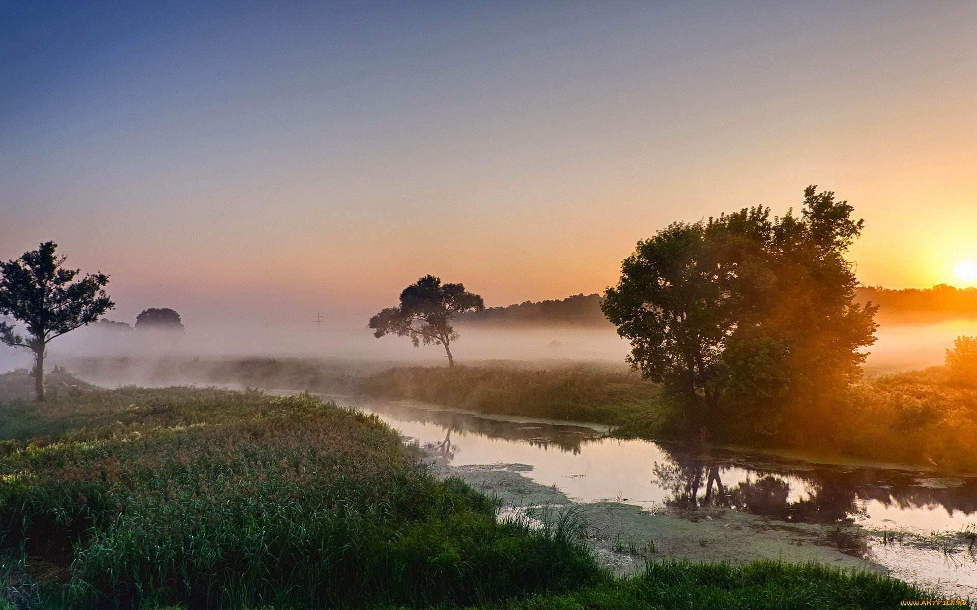 Пейзаж утро. Утренний пейзаж. Туманный рассвет на реке. Утренний летний туман. Раннее утро на реке.