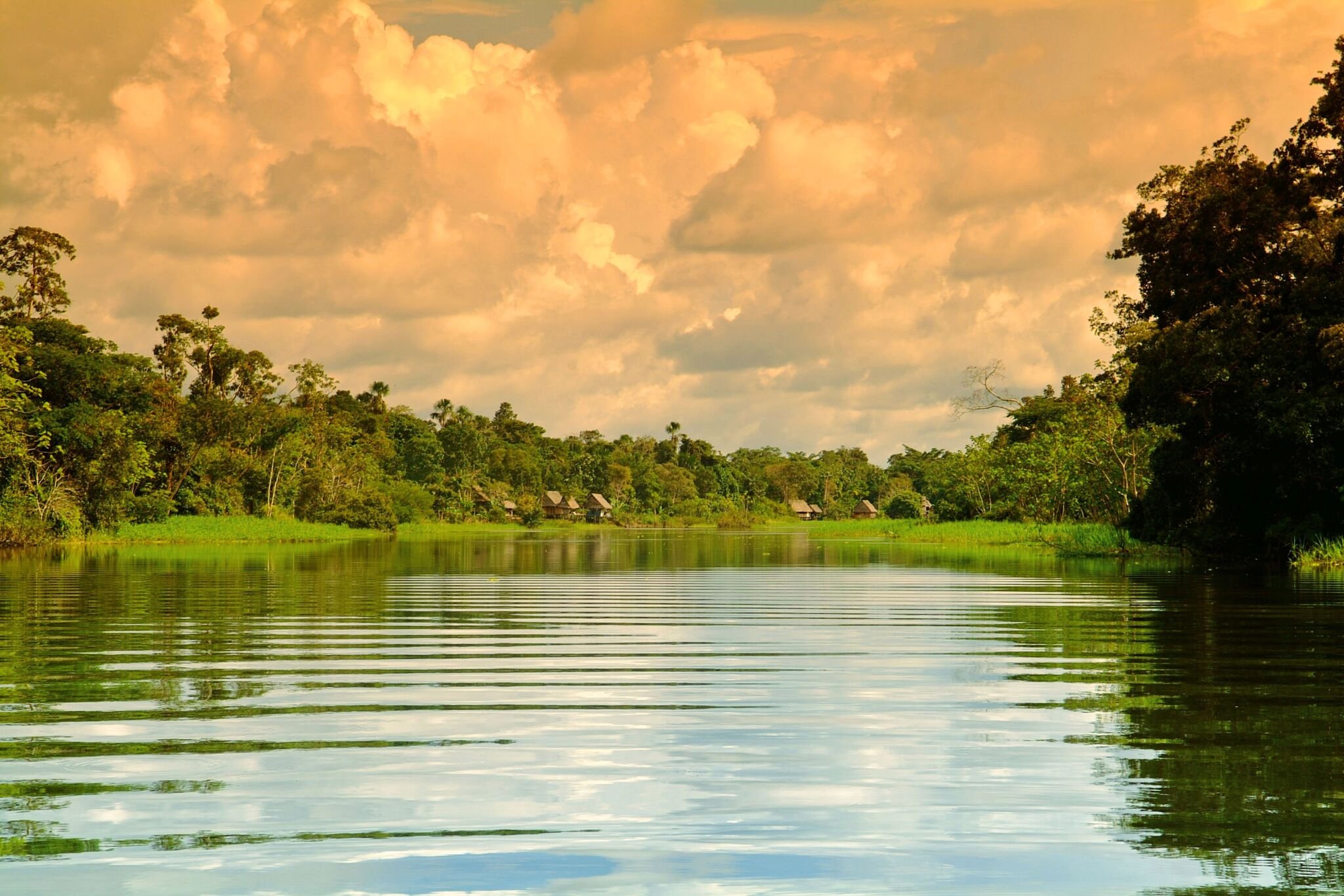 Вторая длиннейшая река. Национальный заповедник Пакайя Самирия. Река Амазонка. Река Амазонка река Амазонка. Южная Америка река Амазонка.