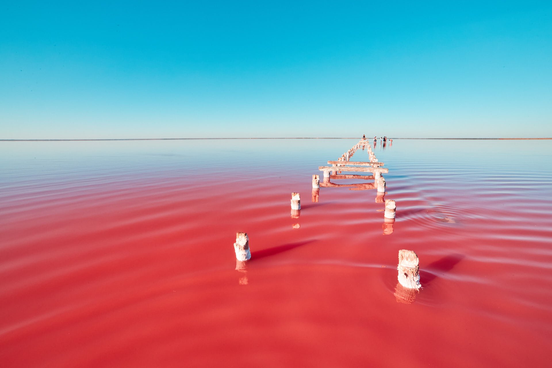 Розовое озеро сиваш. Сасык Сиваш озеро. Озеро Сасык Сиваш Евпатория. Розовое озеро в Крыму Сасык. Озеро Сасык-Сиваш (розовое озеро).