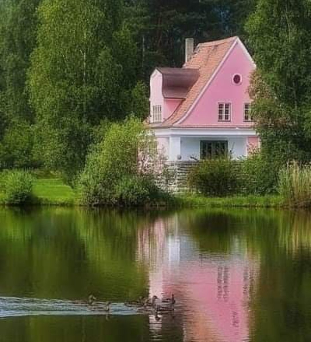 Лето дом 7. Дом у озера Солнечногорский район. Шанти озеро домики. Шанти озеро розовый домик.