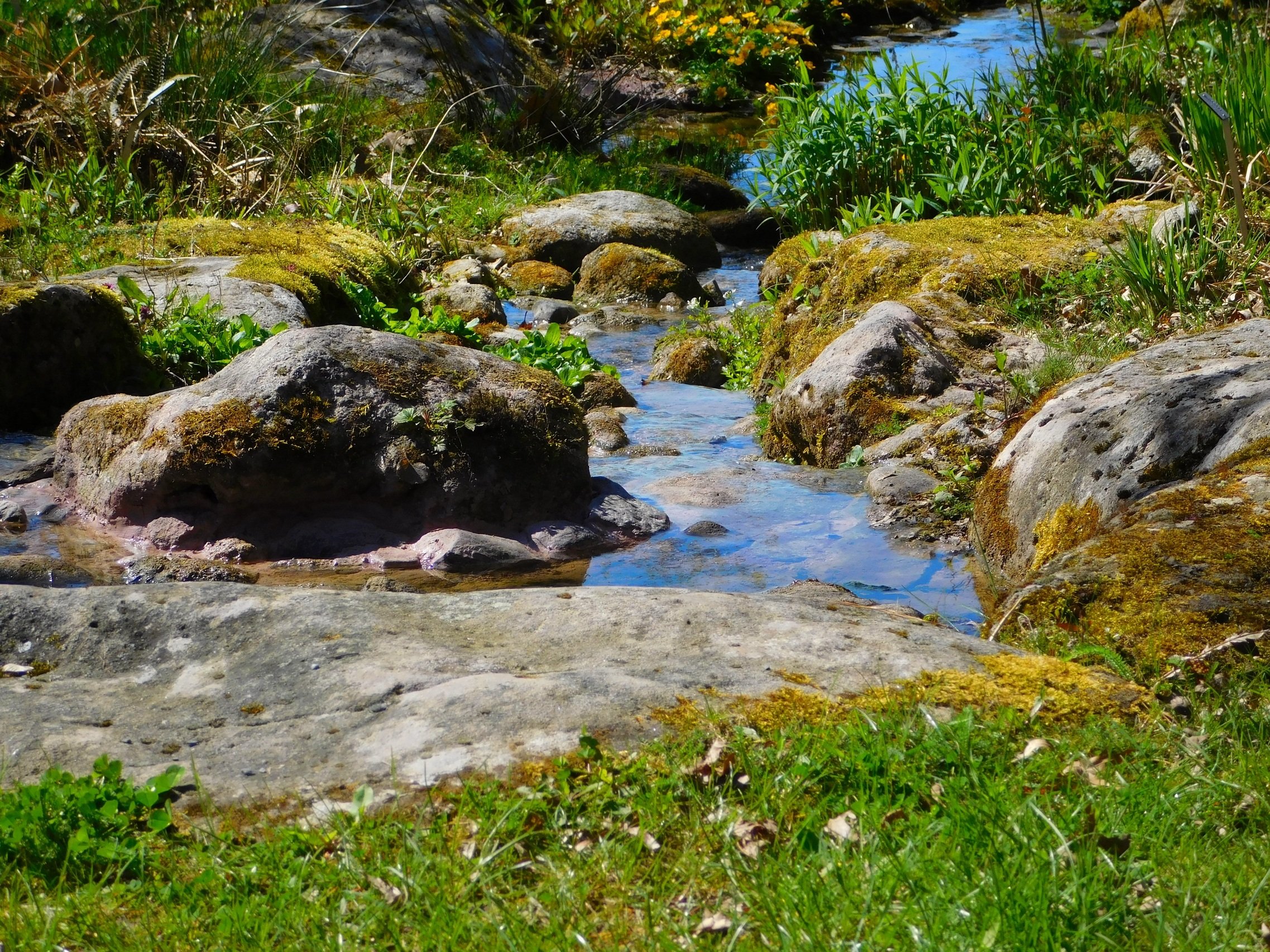 Наблюдать речка. Мацута каменный ручей. Родник ручей река озеро. Камушки в ручье. Ручей с камнями.
