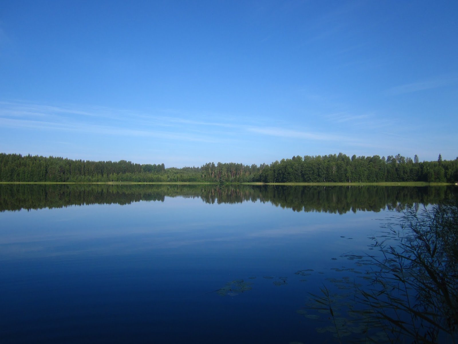 Озеро данилово область