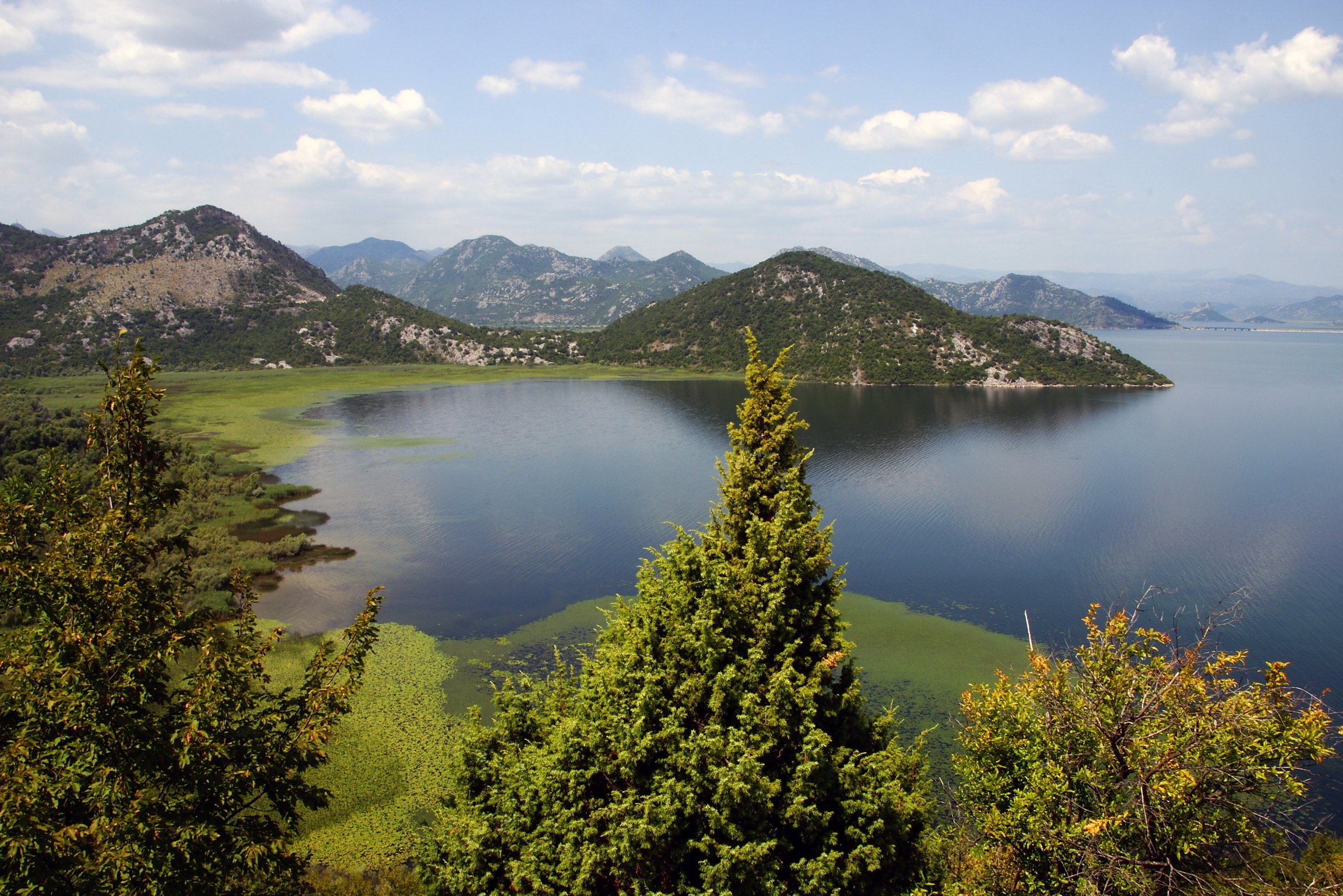 Озера восточной европы. Скадарское озеро Черногория. Скадарское озеро Сербия. Национальный парк Скадарское озеро. Озеро Скадар Монтенегро.