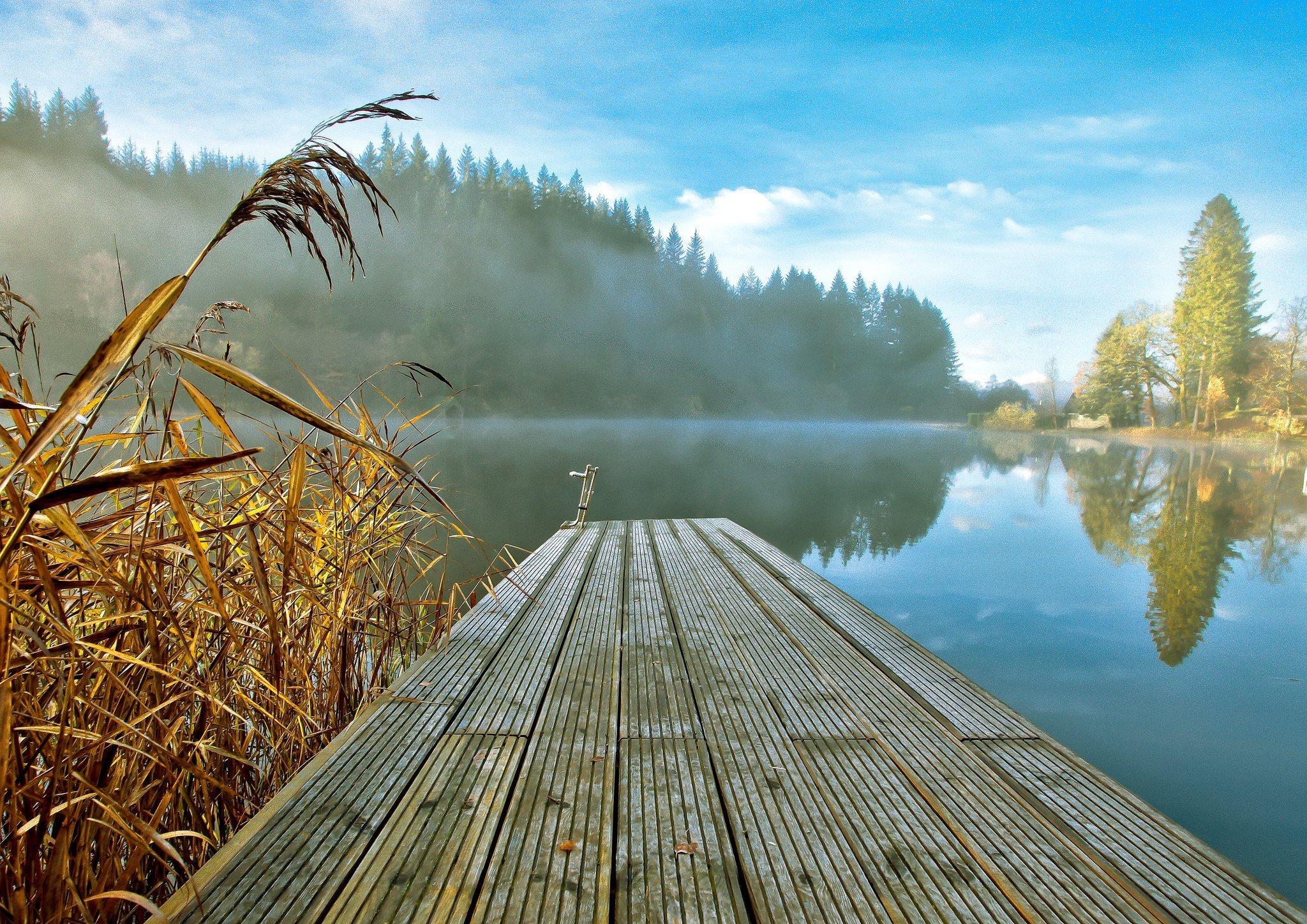 Летним утром мы направляемся на рыбалку природа. Мостик на озере. Речной пейзаж. Озеро в лесу. Красивые пейзажи с водой.