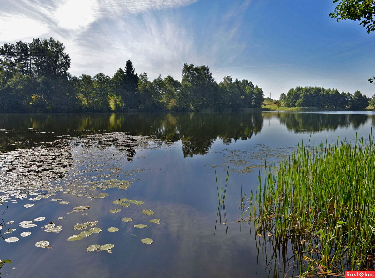 Озеро тихая вода. Река Суринь. Река Сурин Ворсма. Река Сурин Нижегородская область. Река Суринь в Нижегородской области.
