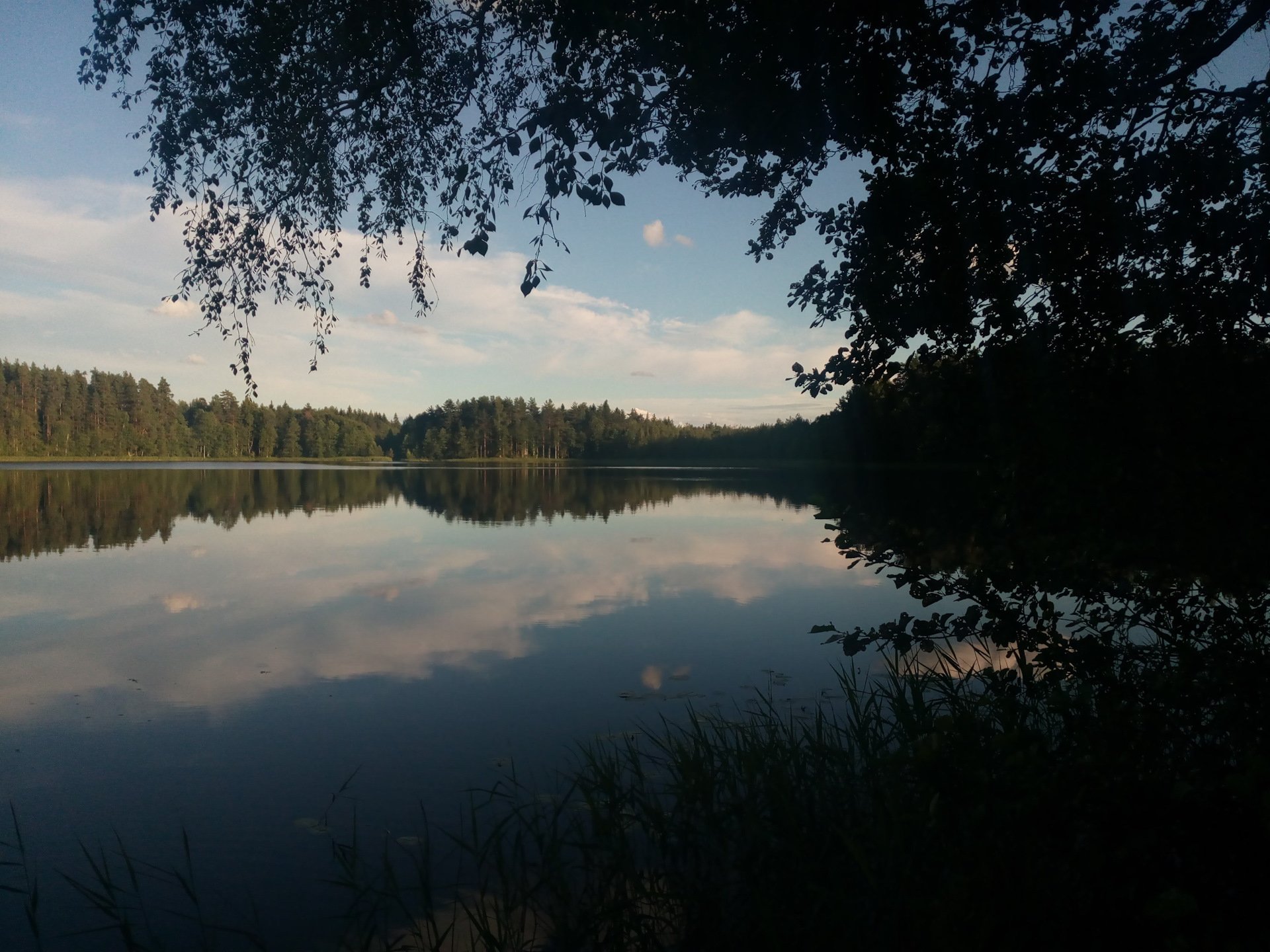 Озеро долгое спб. Озеро долгое Опочка. Озеро долгое Бологое. Долгое озеро Лобня. Долгое (озеро, Белоруссия).