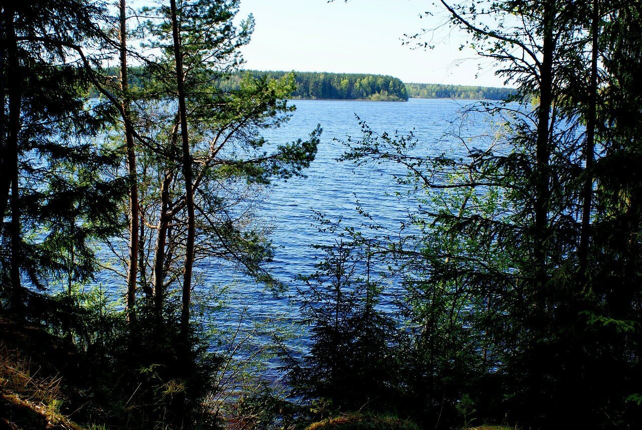 Озеро волго тверская. Озеро Волго Селигер. Сосновый Бор озеро Волго. Селижаровский район озеро Волго.