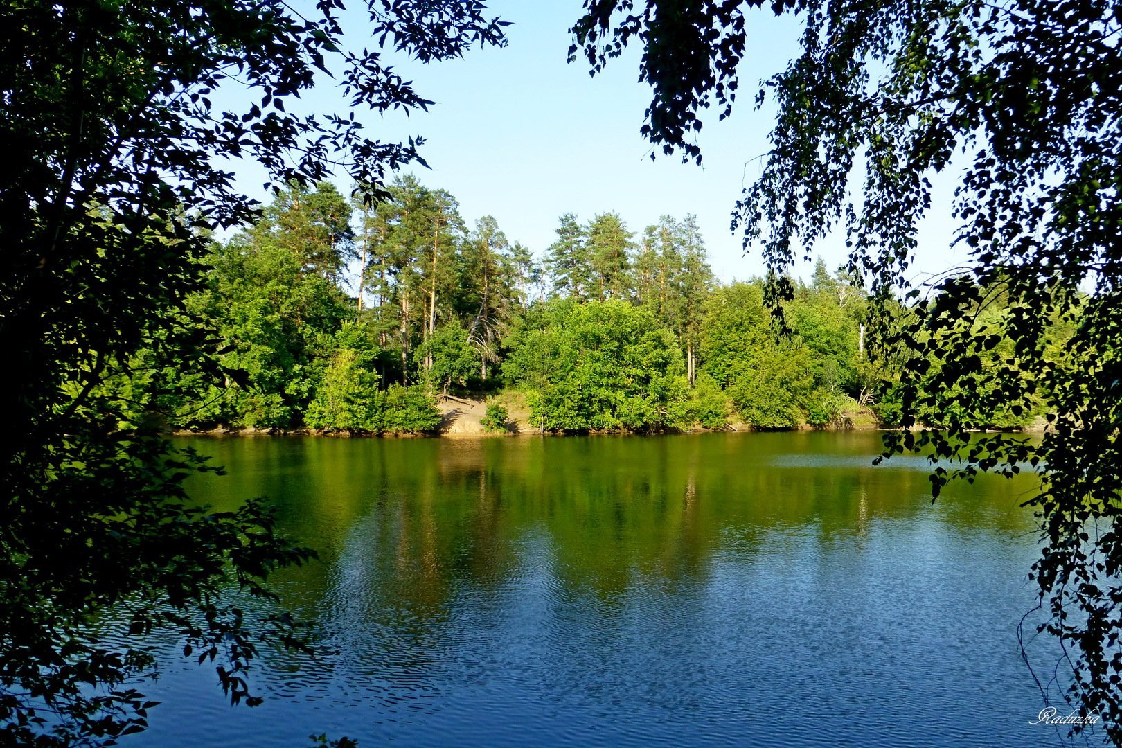 Озера г луга. Парк Малаховское озеро. Малаховка озеро. Лесное озеро Самара. Лесное озеро Тольятти.