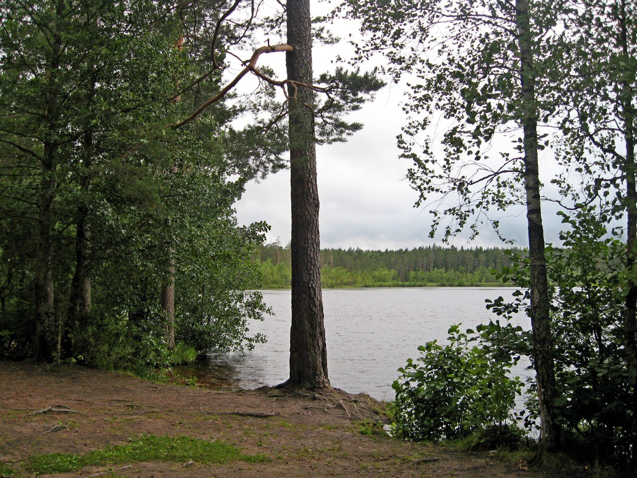 Щучье озеро Комарово