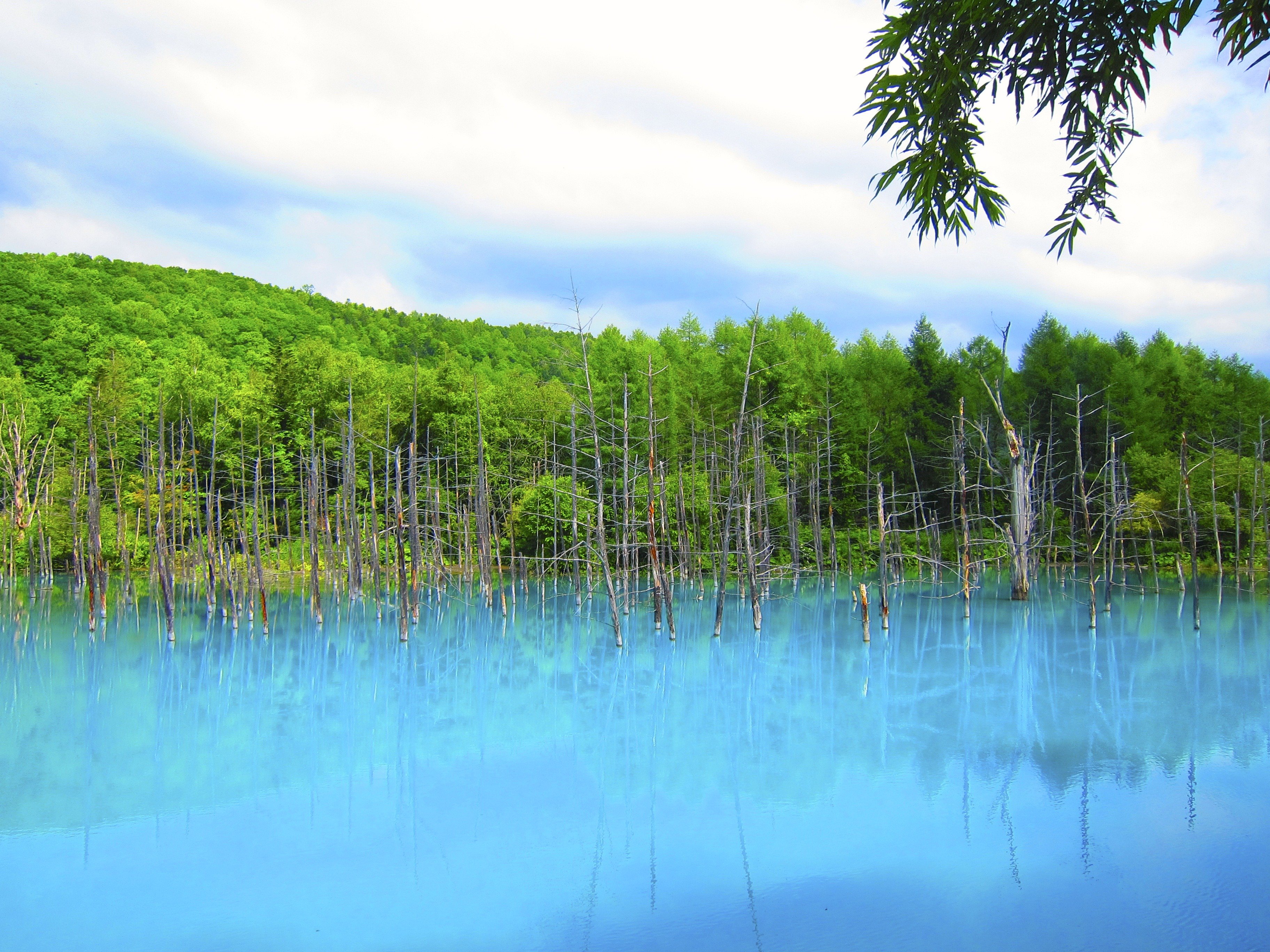 Луговых озерах. Голубое озеро Лужский район. Озеро зеленое Лужский район. Голубое озеро в Луге. Голубые озёра Лужского.