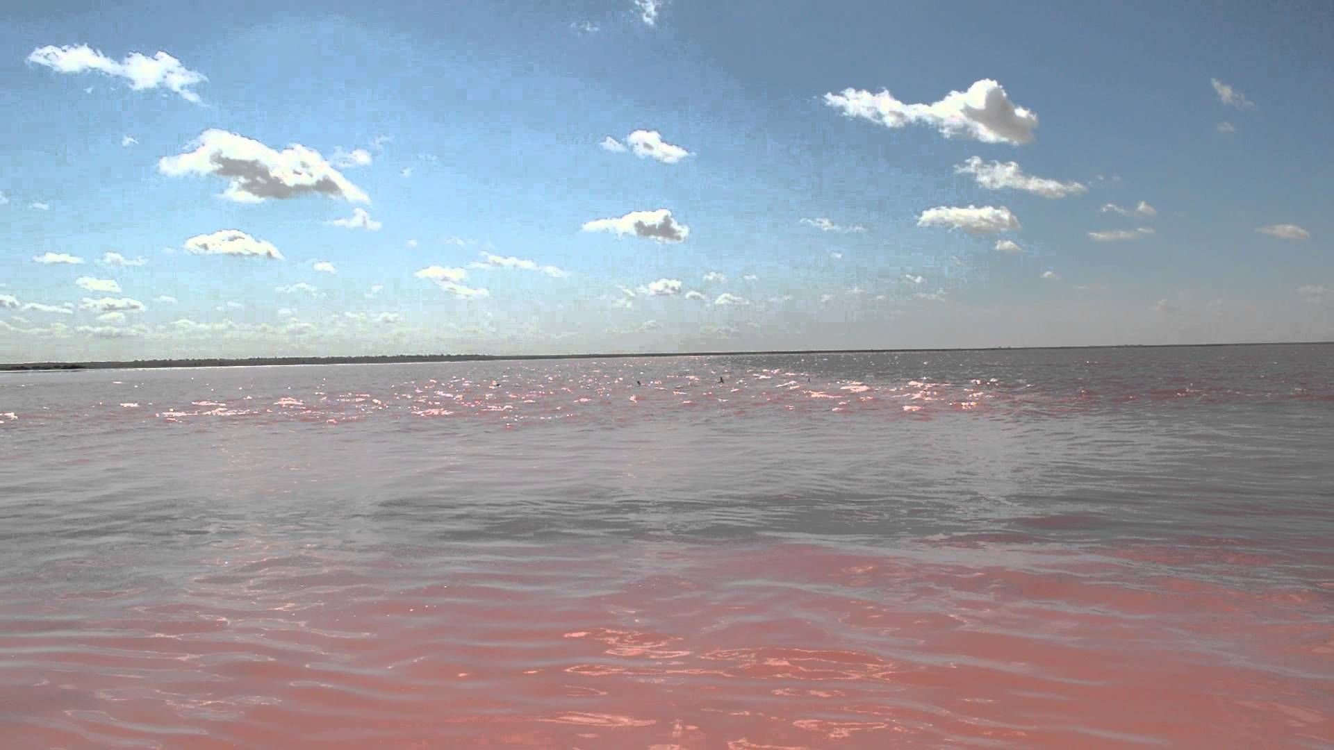 Розовое озеро яровое. Озеро Бурсоль Яровое. Бурлинское озеро Алтай. Розовое озеро Алтайский край Яровое. Бурсоль озеро Алтайский край.