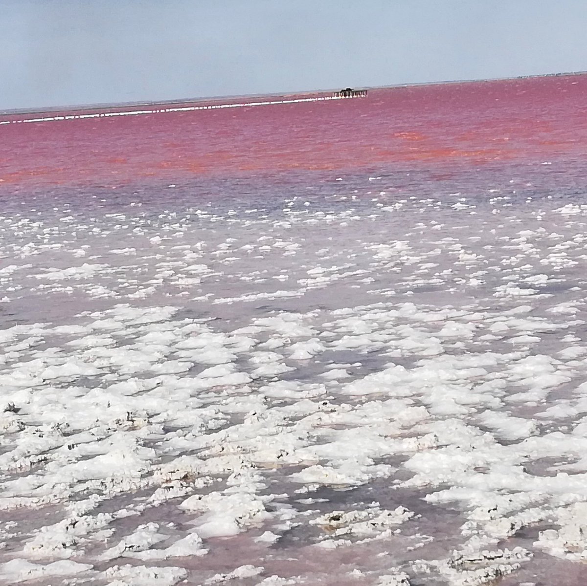 Розовое озеро саки. Сасык-Сиваш. Озеро Сасык Саки. Сасык-Сиваш Евпатория. Розовое озеро в Крыму Сасык.