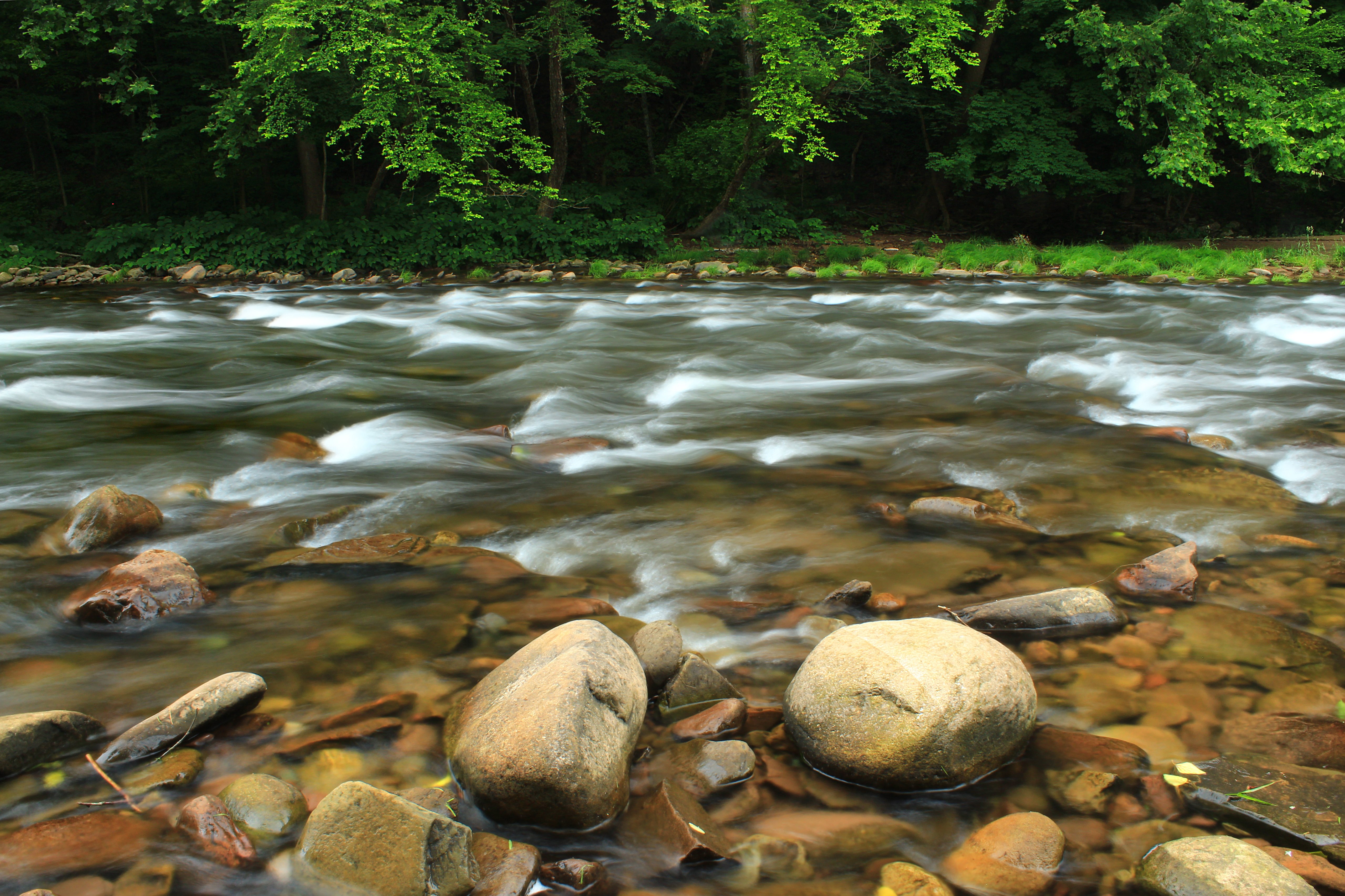Река шум воды. Камни валуны берег река ручей. Чангинола река камни. Речка камни. Камни в реке.