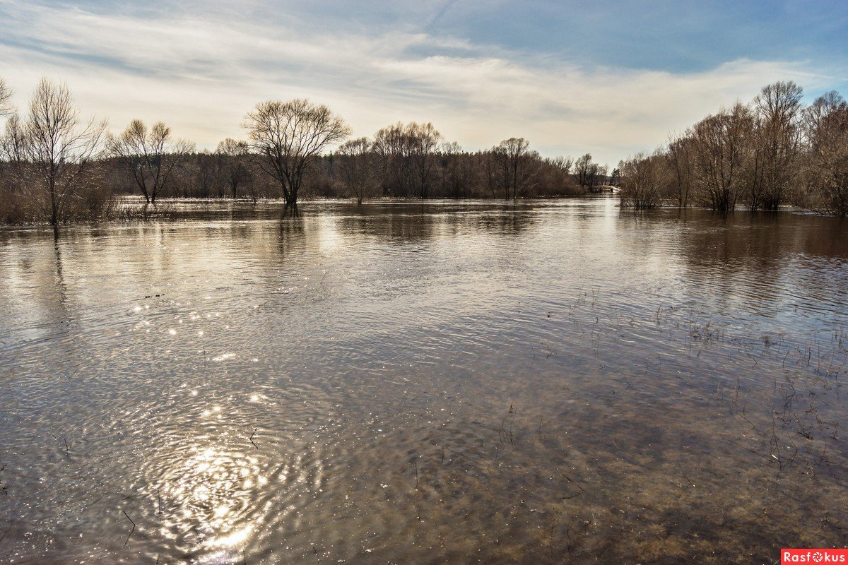 Весенний разлив реки Лыбедь Рязань