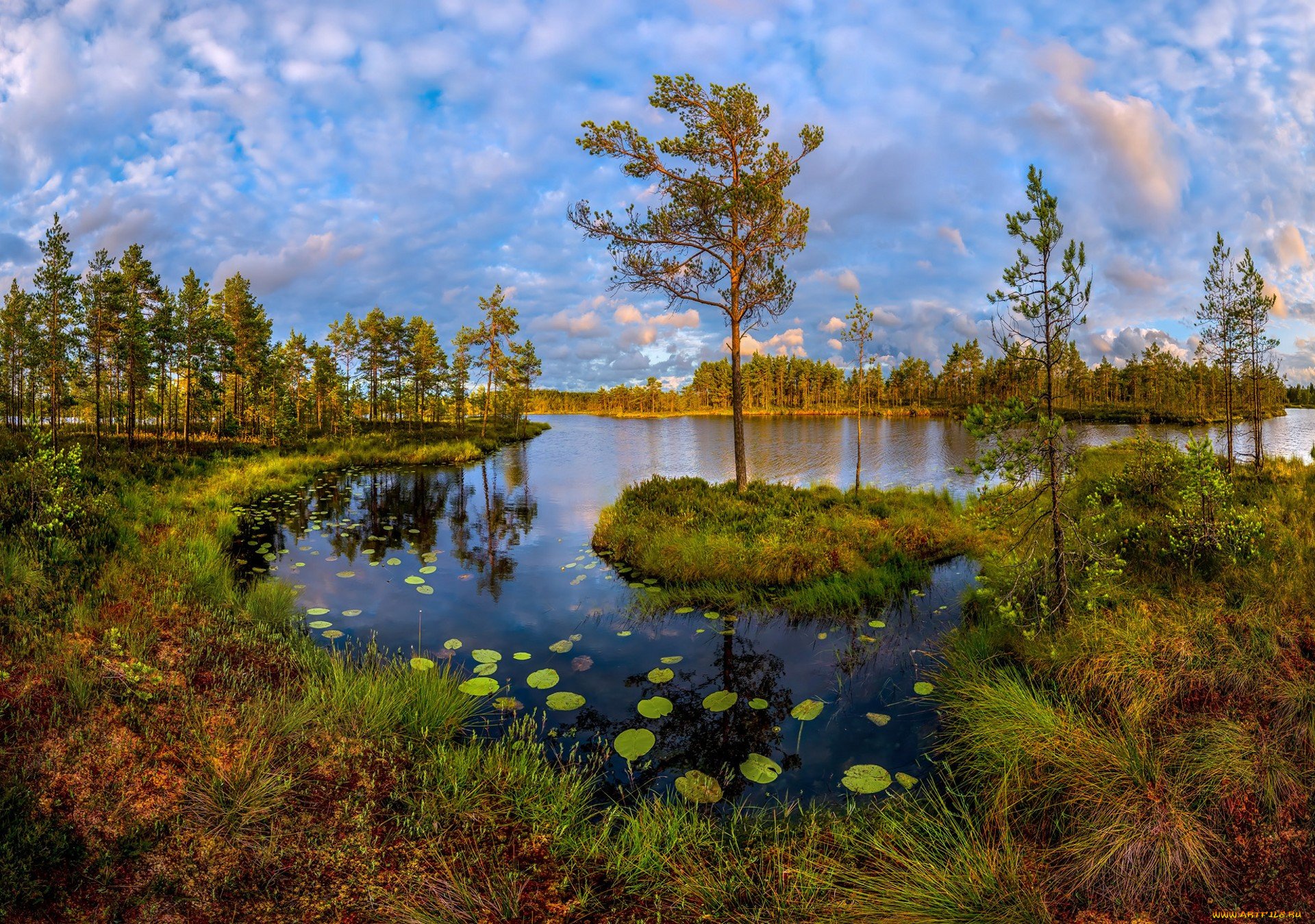 Болотистое озеро. Фёдор Лашков фотограф река.
