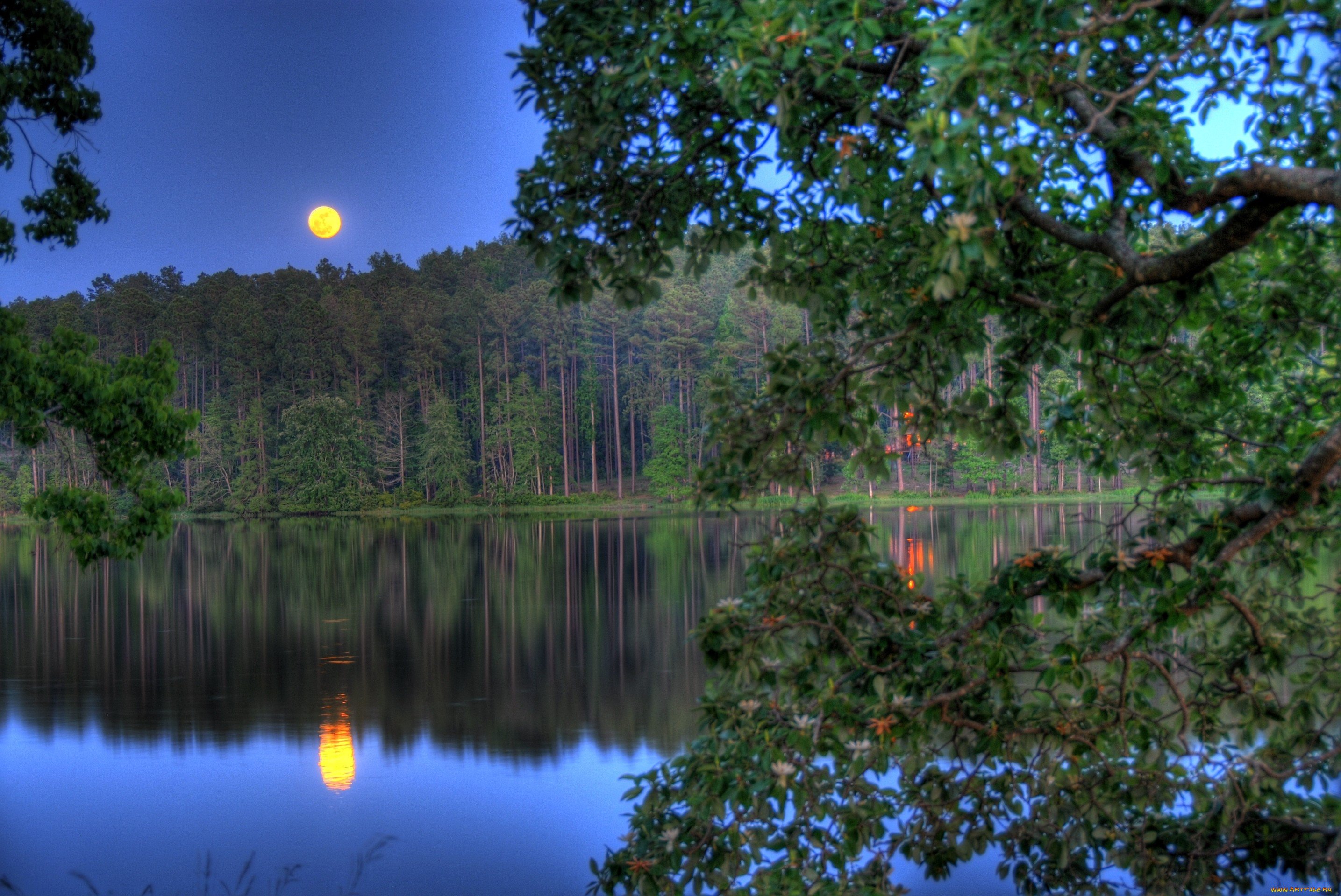 Луна озера ночи. Ночь река лес. Река ночью. Озеро в лесу ночью. Летняя ночь.