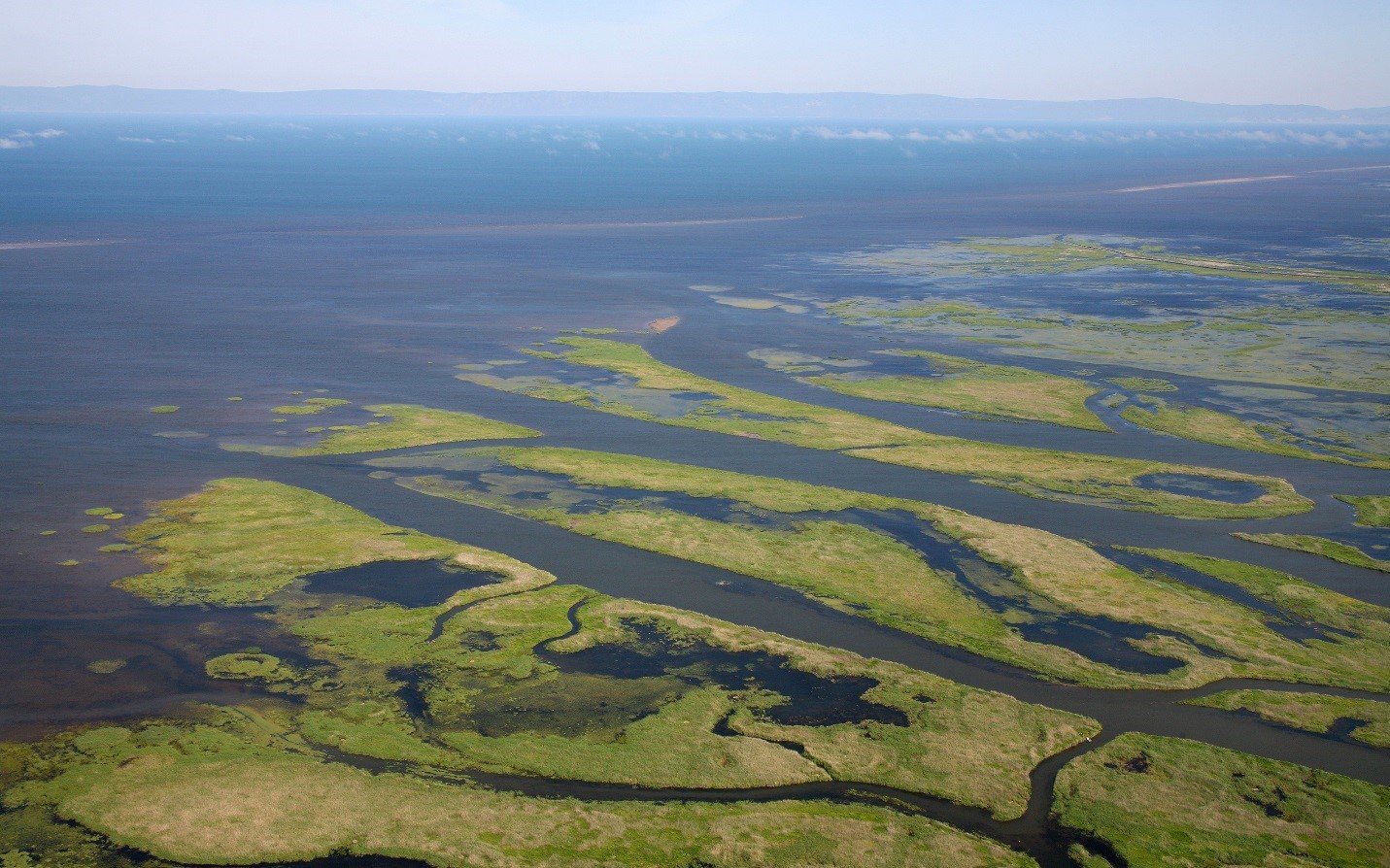 Сколько озер впадает в байкал. Дельта реки Селенга. Река Селенга Байкал. Река Селенга Исток реки. Низовья реки Селенга.
