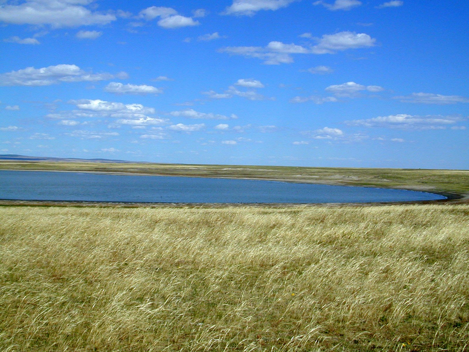 Озеро степное забайкальский край