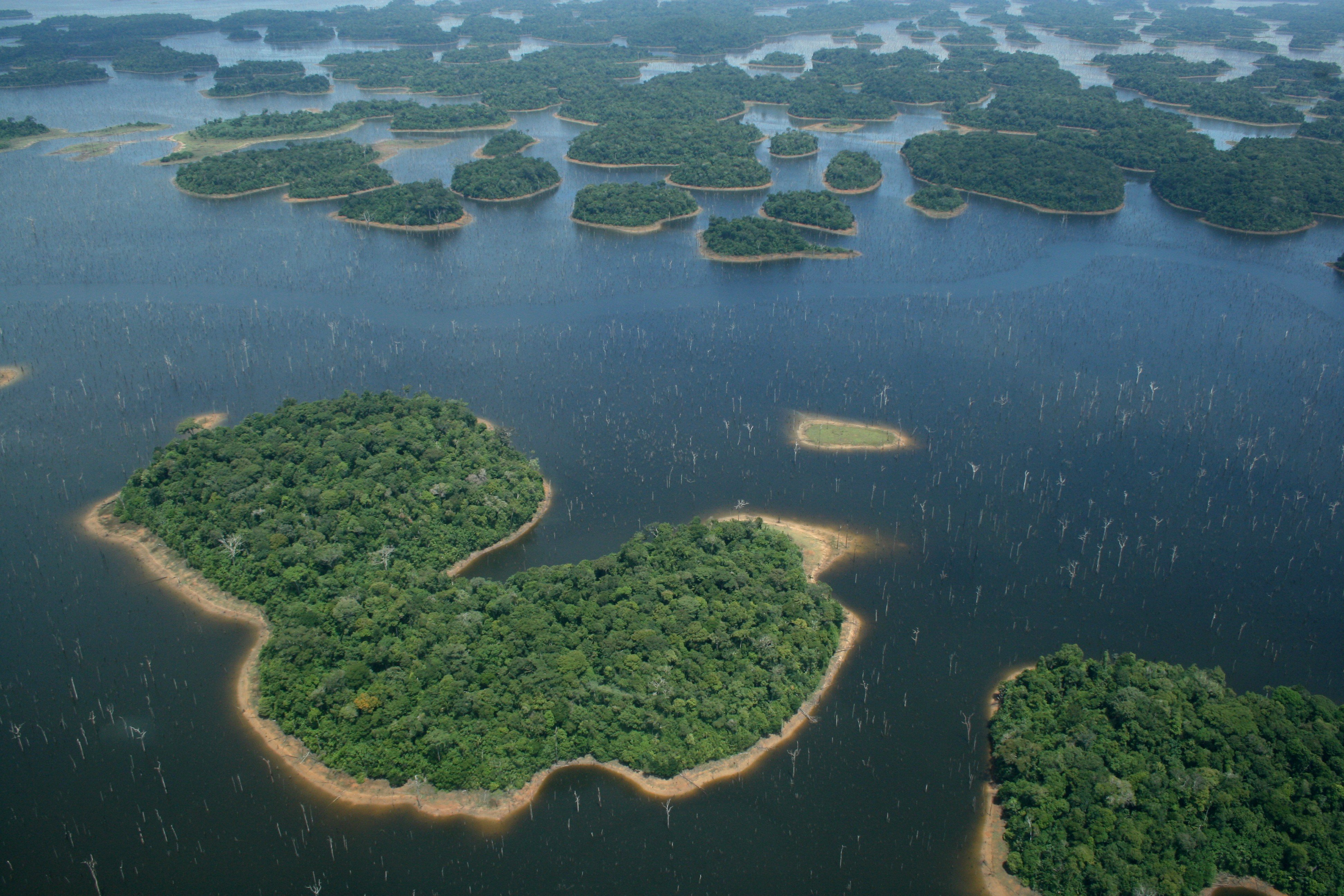 Крупные реки и озера бразилии 7