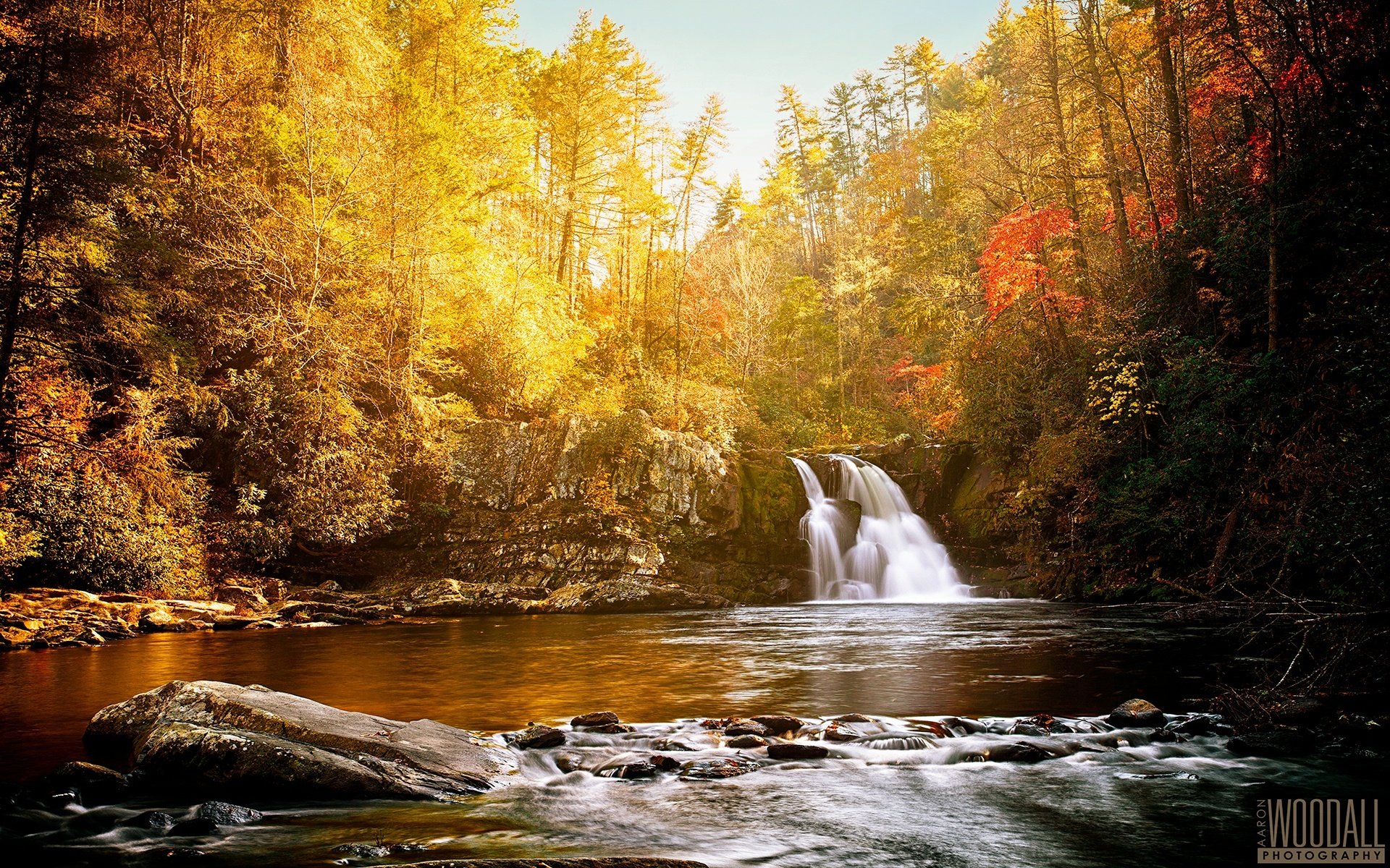 Pictures pro. Осень горы водопад. Золотая река. Осень лес река. Осень река солнце.