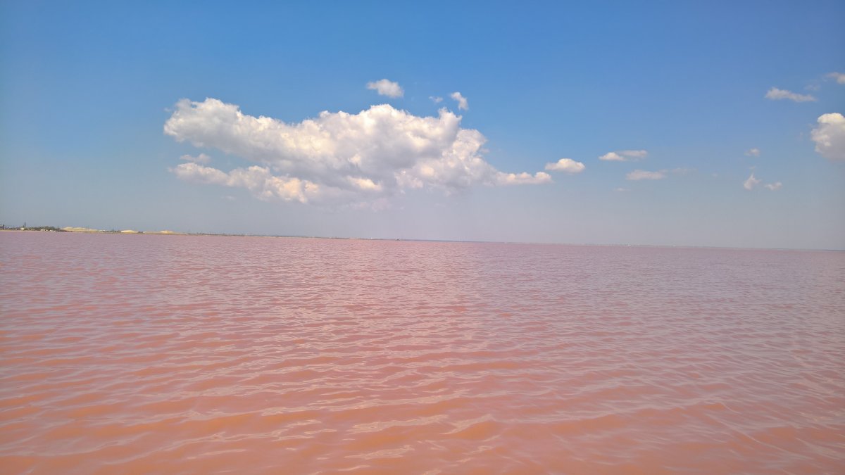 Розовое озеро яровое. Бурсоль озеро Алтайский. Розовое озеро Алтай Бурсоль. Яровое Бурсоль.