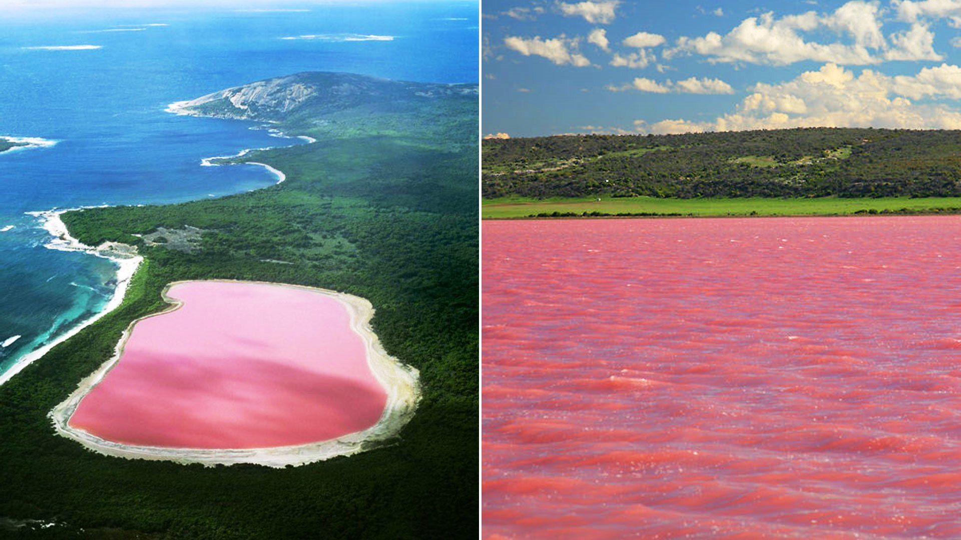 В австралии есть озера. Озеро Хиллиер, Австралия. Озеро Хиллер (остров Миддл). Озеро Хиллер, Западная Австралия. Розовое озеро Хиллер Австралия.