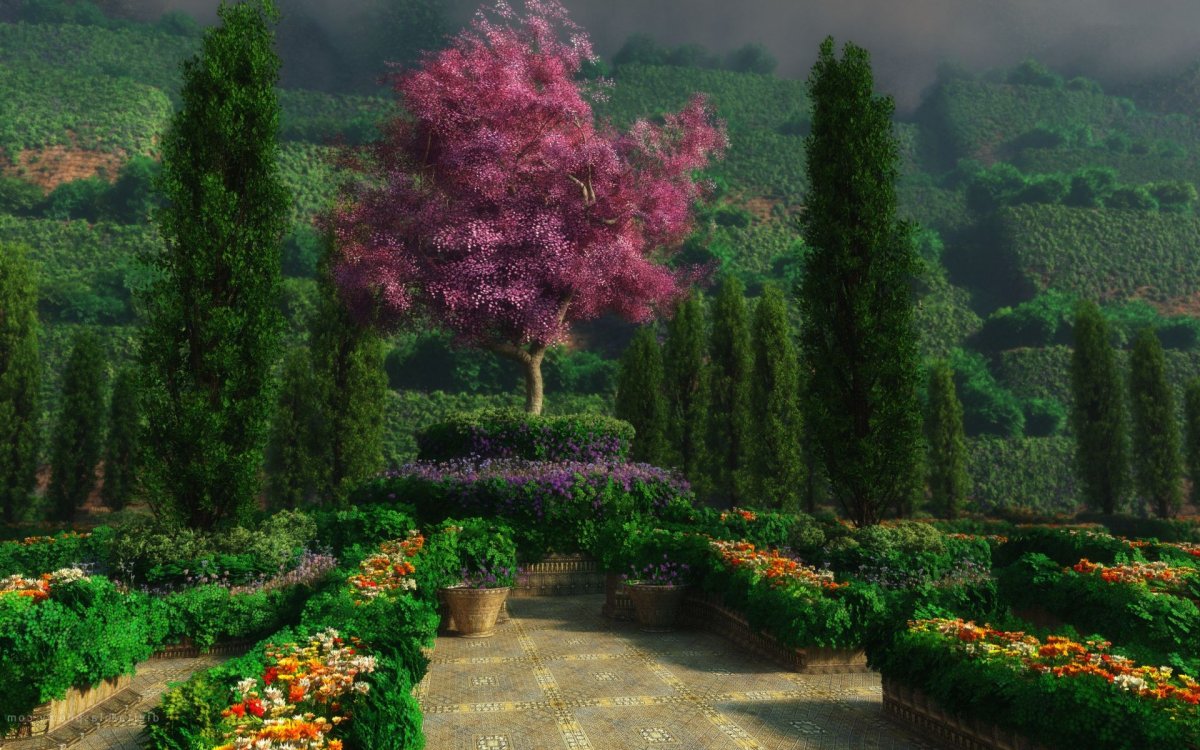 Сады Семирамиды Цветущая сирень