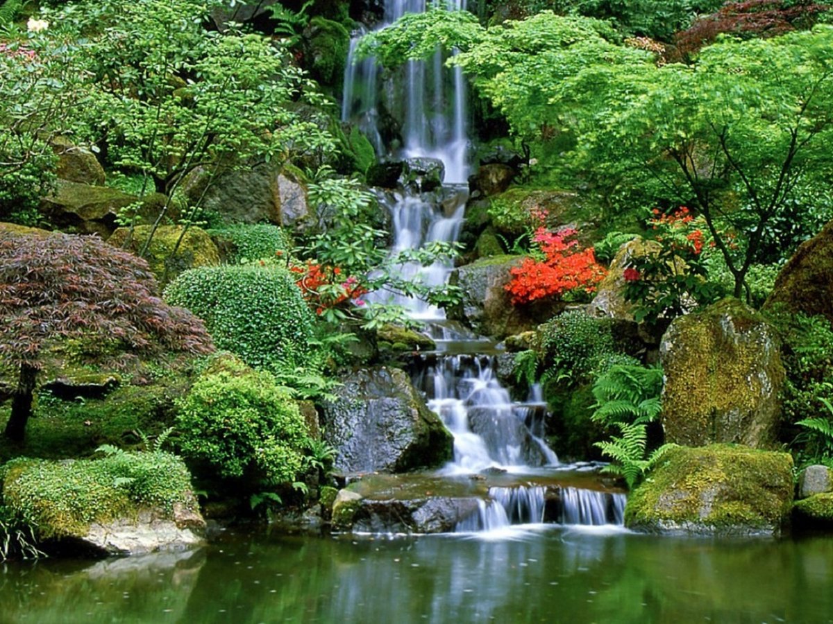 Красивый Райский сад