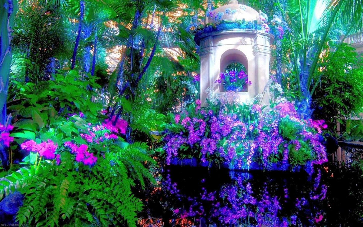 Райский сад