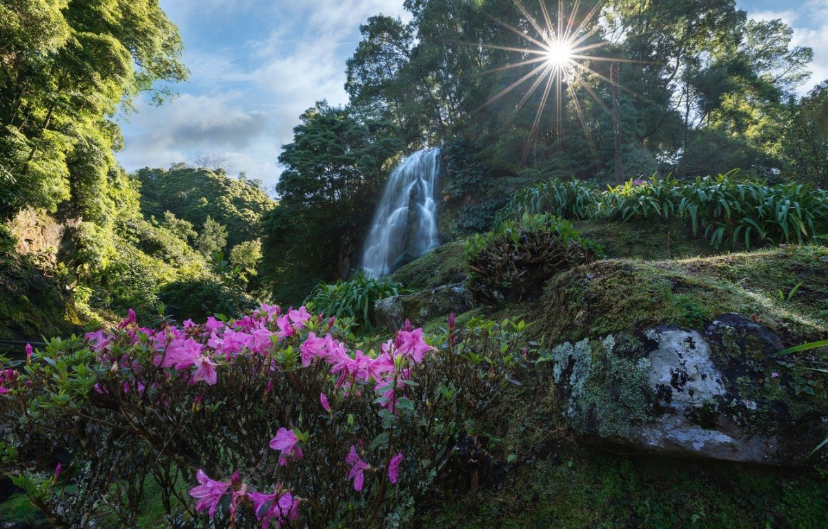 Природа Райский сад