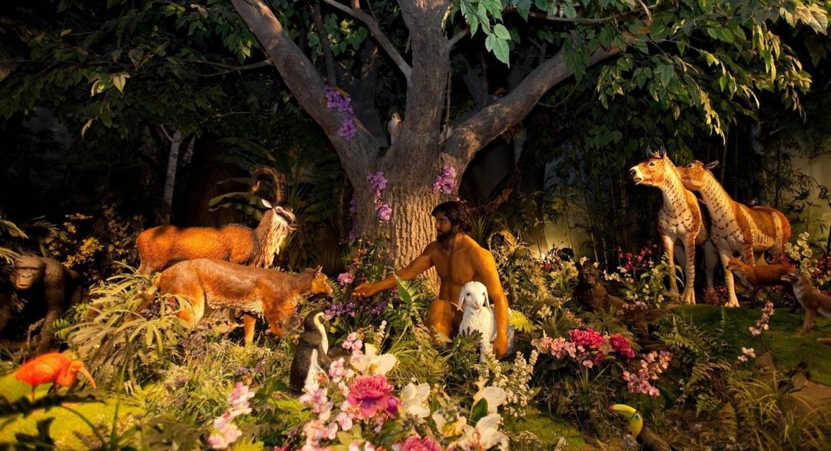 Райский сад Фадюкова