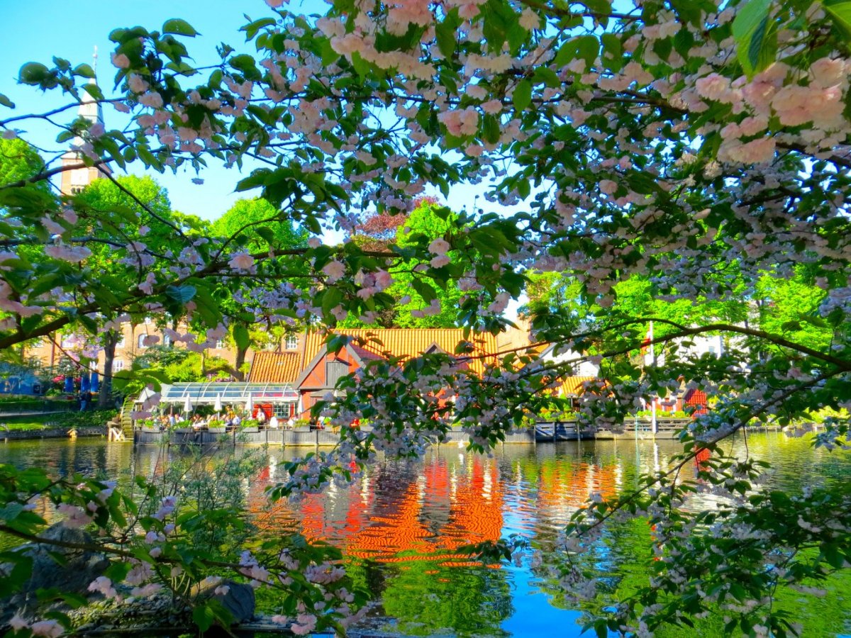 Райский сад Моцудзи