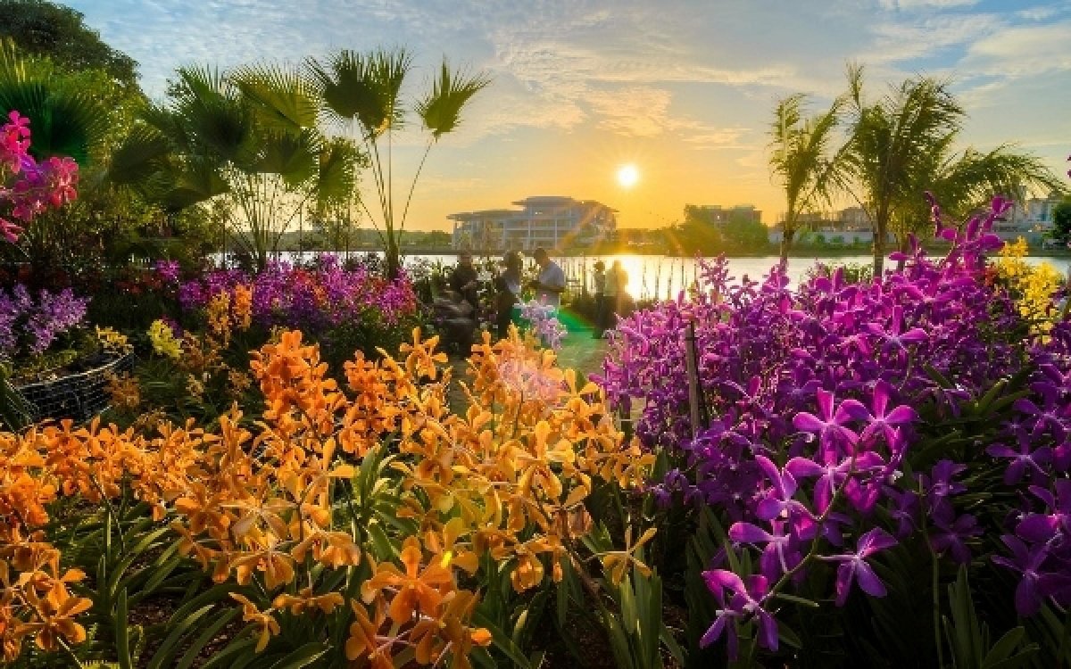 Фестиваль цветов Малайзия