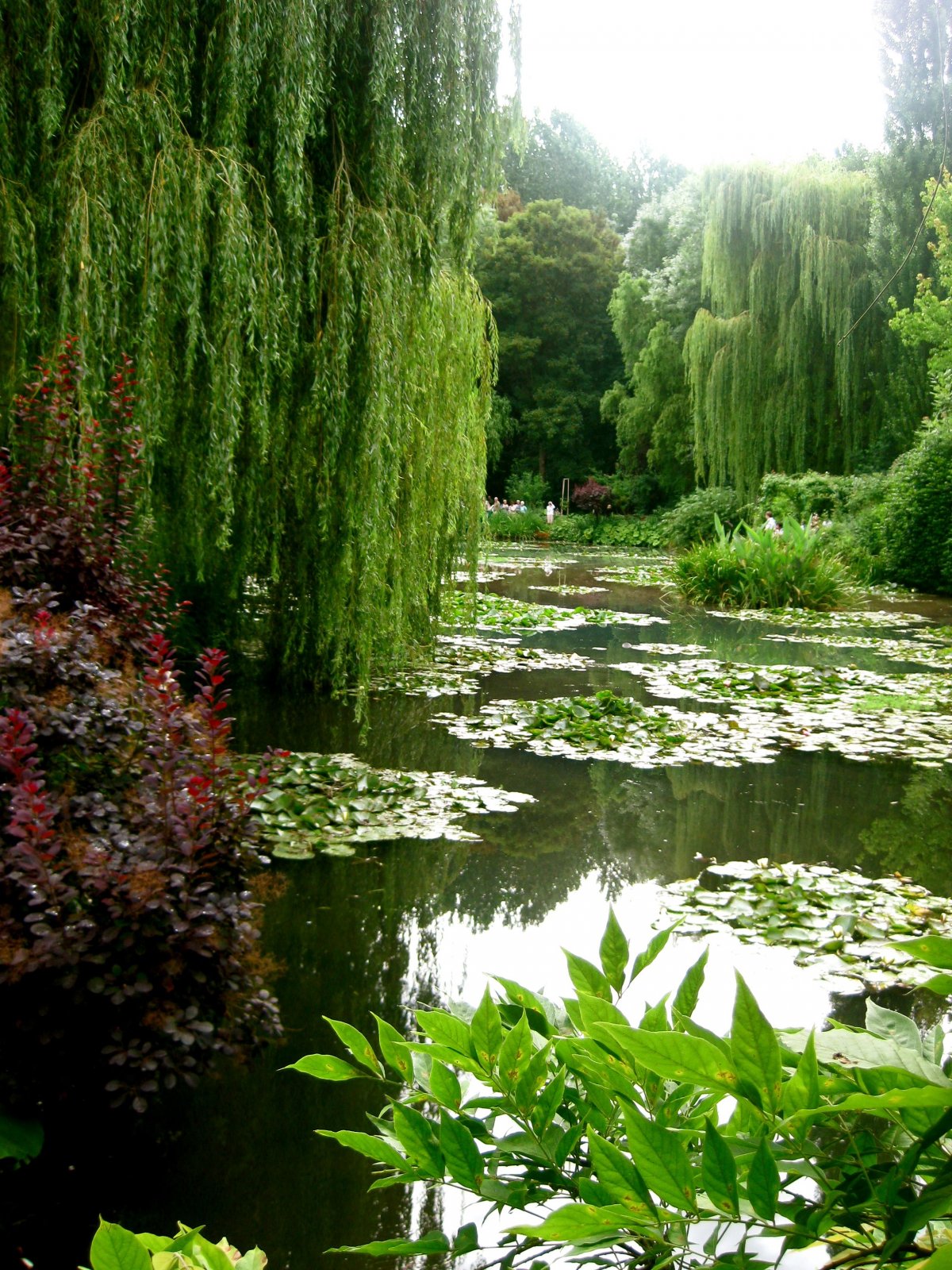 Парк Клода Моне Живерни