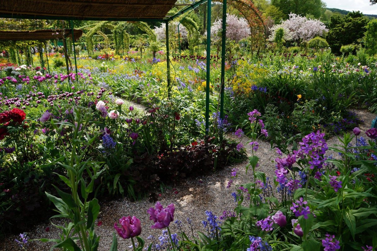 Сад Моне в Живерни план