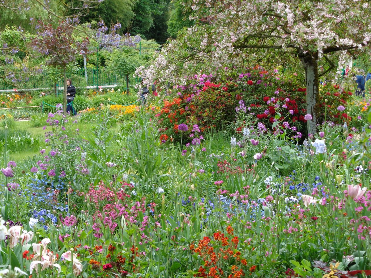 Сад Клода Моне в Живерни сверху