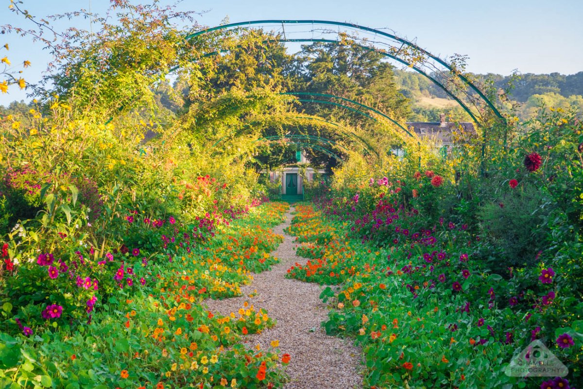 Клод Моне тропинка в саду Моне Живерни